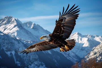 Fototapeta premium A breathtaking shot of a golden eagle soaring high above snow-capped peaks, its wings outstretched in majestic flight. Generative AI