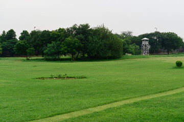 Obraz premium Green grass field park at delhi
