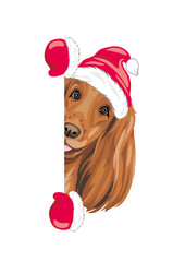 Peeking Santa Cocker Spaniel dog with Christmas hat and mittens