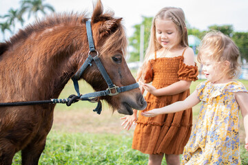 Two little girls feeding a pony. Farm and kids. Fall fun activities for children at the farm....