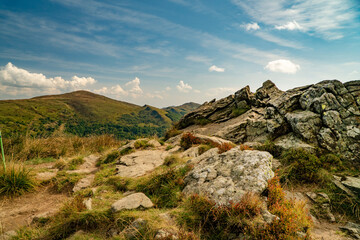 A mountain range in the Bieszczady Mountains in the area of Tarnica, Halicz and Rozsypaniec.