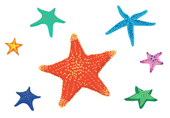 Fototapeta na wymiar set of starfish