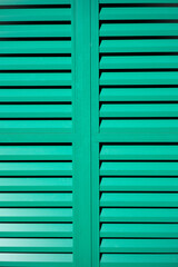 A vibrant green door with decorative shutters