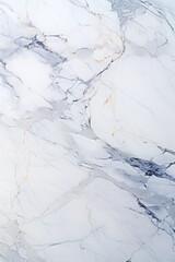 "Marble Texture Detail: A high-resolution image emphasizing the delicate, smooth patterns in the marble surface."