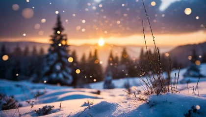 Fotobehang Paysage naturel enneigé, par un beau coucher de soleil doré - Neige sur des arbres, éléments végétaux - Effets de lumières et ambiance poétique naturelle  © Manon