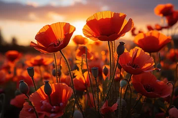 Gordijnen A poppy field in bloom, a poignant symbol of remembrance for fallen soldiers. Concept of remembrance and sacrifice. Generative Ai. © Sebastian