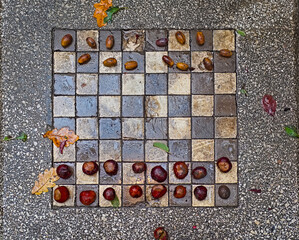 Chestnuts, leafs and acorns on chessboard 