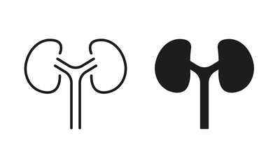 Kidneys Urology Disease, Dialysis Medical Treatment Symbol Collection. Human Kidney Line and Silhouette Icon Set. Anatomy of Renal Organ Pictogram. Isolated Vector Illustration