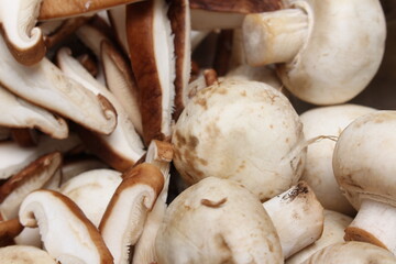 mushrooms being prepared for meal. mushroom texture. food details. mushrooms with selective focus.