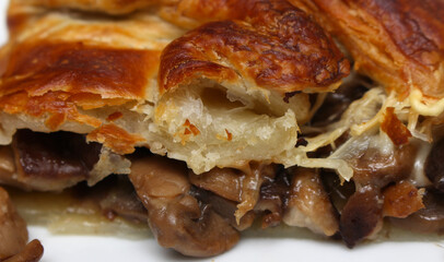 food texture. mushroom pie details. meal made with mushrooms. pie with mushroom filling. pie with selective focus.