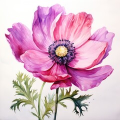 Magnificent anemone flower on a white background close-up, watercolor drawing. Generative AI