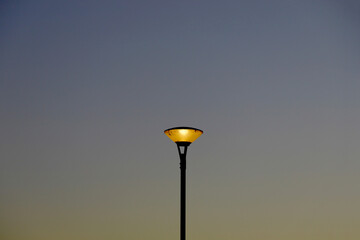 Street lights in the park at dusk with lights on