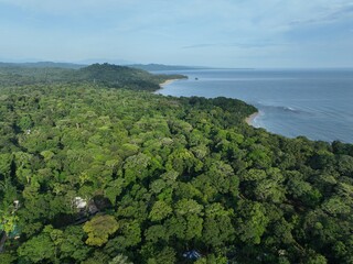 Fototapeta na wymiar Lush tropical Caribbean Coast of Limon in Costa Rica -aerial views of Cocles and Puerto Viejo