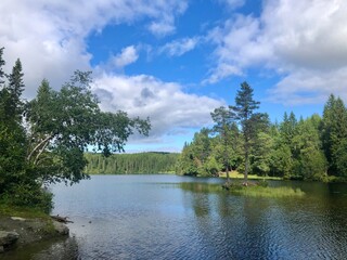 Sunny day. Beautiful forest mountain lake. Trees reflected in the water