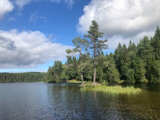 Sunny day. Beautiful forest mountain lake. Trees reflected in the water