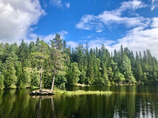 Sunny day. Beautiful forest mountain lake. Trees reflected in the water