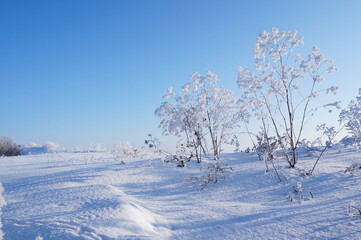 Fototapeta na wymiar Snowdrifts in the countryside.Frosty winter damp atmosphere.