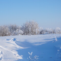 Winter landscape in the village. Sunny frosty day and village houses in the distance.