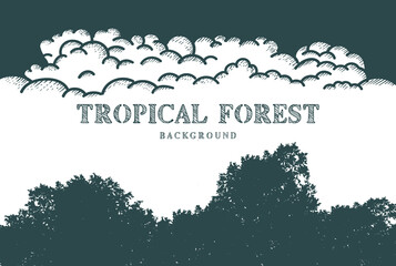 Silhouette of Tropical Jungle Forest and Cloud Rain Sky Background Design
