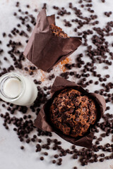 Homemade delicious chocolate chip cocoa muffins.