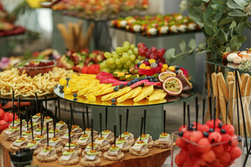 Catering buffet table with snacks and appetizers. Set of varios fruits and berries. Decorative vase