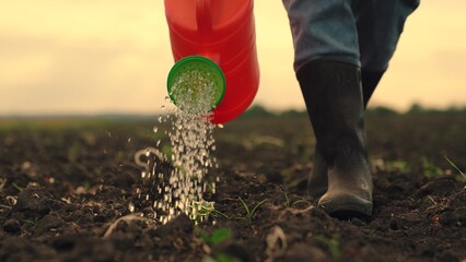 Woman in rubber boots sprinkler work on farm. Farmer water sprouts from watering can in close-up...