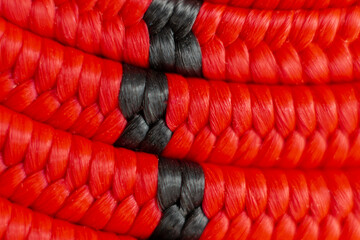 Macro image of a bungee cord