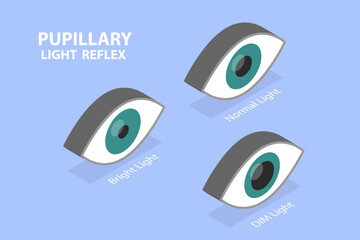 3D Isometric Flat Vector Illustration of Pupillary Light Reflex, PLR, Three Different Variations