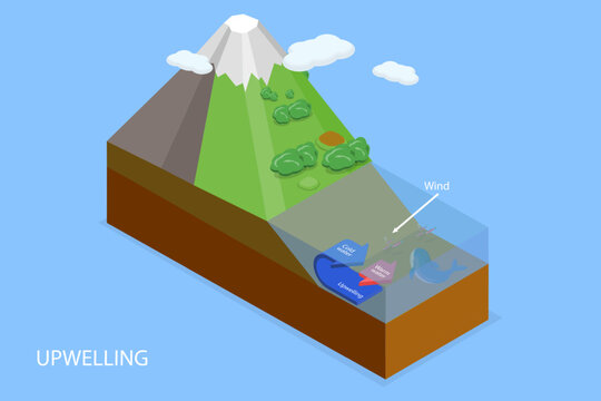 3D Isometric Flat Vector Illustration of Upwelling, Ocean Deep Water Movement Process