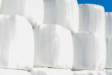 Rows of white plastic covered round bales of hay stacked three high on a farmer's field. The silo bales are wrapped in a plastic film protecting the straw feed for farm dairy animals from moisture.  - obrazy, fototapety, plakaty