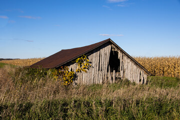 old barn in the field
