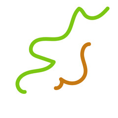 Orange green squiggly lines Vectors 