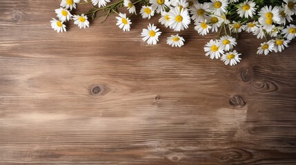 Beautiful spring chamomile flowers on a wooden background