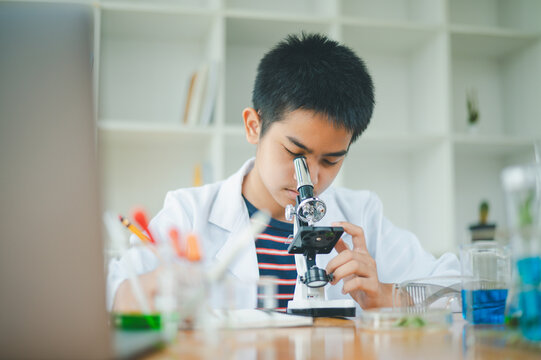 Asian male science students looking through a microscope and tests of plants in the classroom. Learning about scientific experiments on plant species.