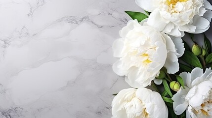 Bouquet of white peonies on gray background