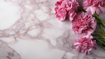 Carnation flowers on a marble background