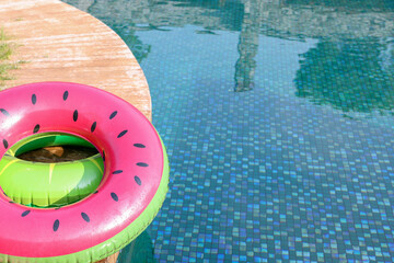 Fototapeta na wymiar Inflatable rings on wooden deck near swimming pool. Luxury resort