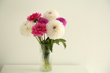 Bouquet of beautiful Dahlia flowers in vase on table near white wall
