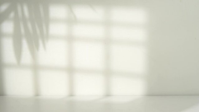 minimalist room with window shadow background