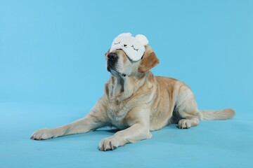Cute Labrador Retriever with sleep mask resting on light blue background