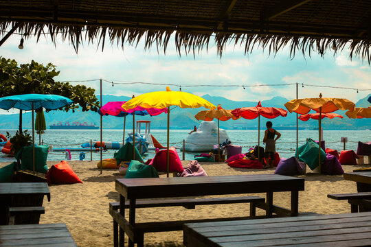 Strawberry Farm in the Philippines