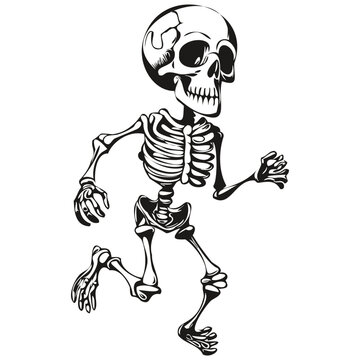Transparent Halloween Image of a Skeleton Entity