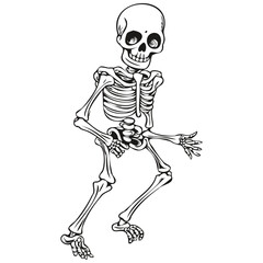 Vector Skeleton Entity for Halloween Scene