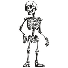Vector Skeleton for Halloween