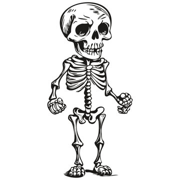 Vector Halloween Skeleton in Hand-Drawn Style