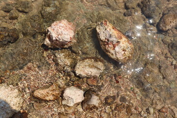 stones at sea, still waves