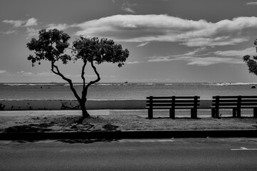 Fototapeta na wymiar Vacant Beach with a tree and benches.