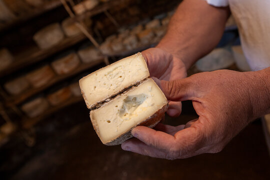 Cheese in ripening cellar on familiar industry.