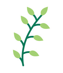 leaves branch illustration