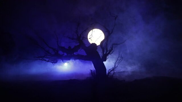 Silhouette of scary Halloween tree on dark foggy toned background with moon on back side. Scary horror winter dead forest at night. selective focus